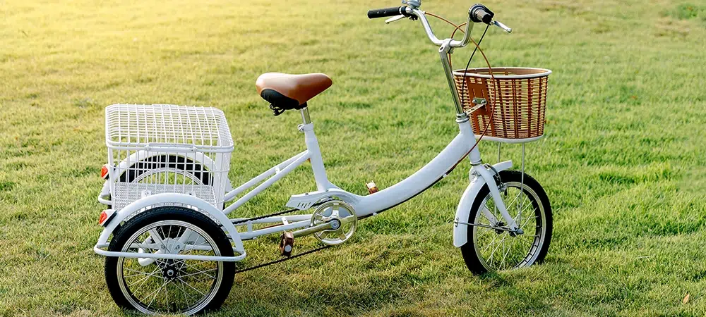 buy electric tricycles in canada
